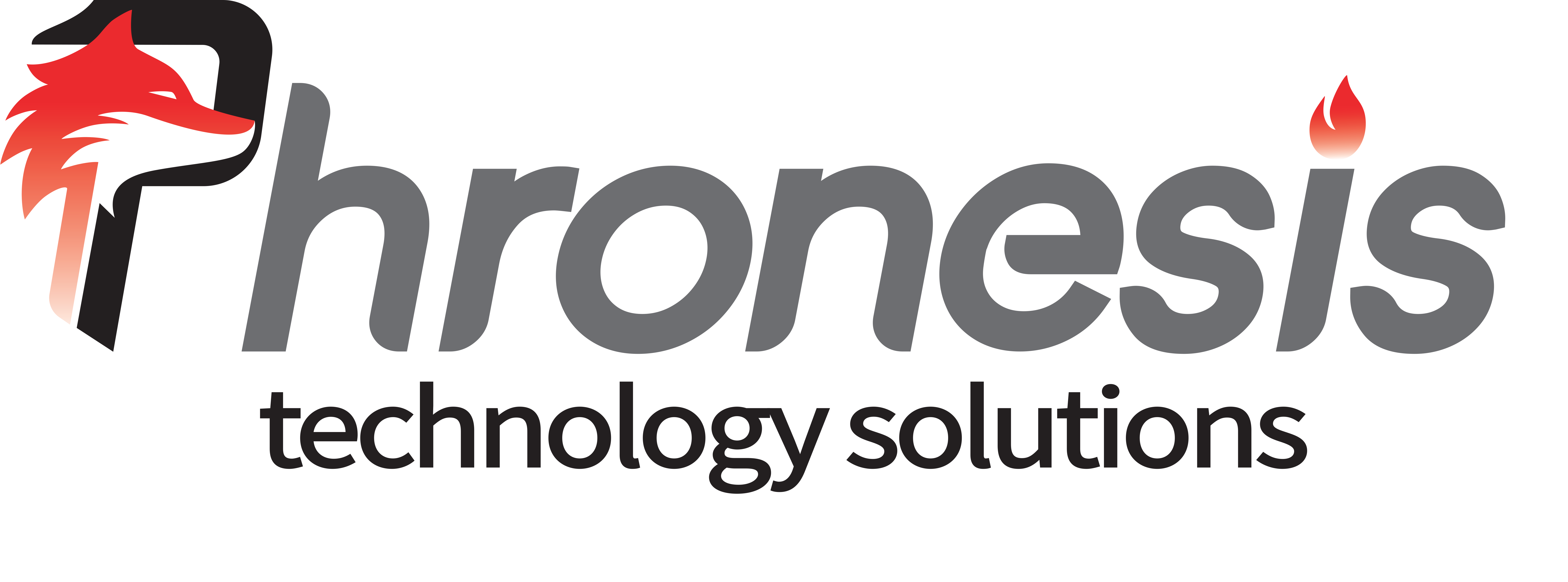 Phronesis Technology Solutions